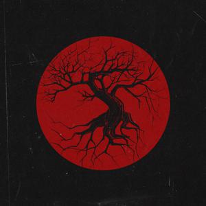 欧美男人把jⅰ放进女人的b张柏之
