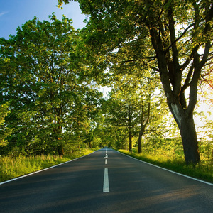 欧美男人把jⅰ放进女人的b张柏之

